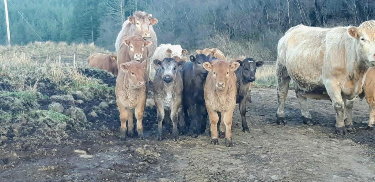 An Cois Na H-Aibhne Apartamento Skeabost Exterior foto